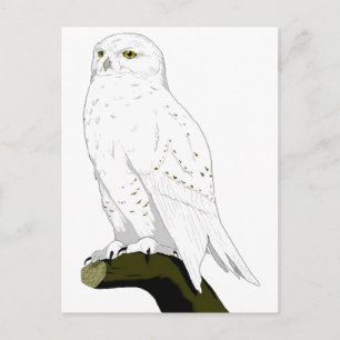 Schneeauge Postkarte