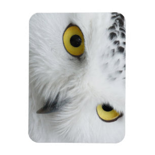 Schneeaugen Magnet