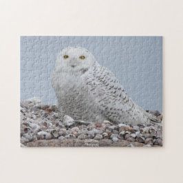 Schneeauschale auf Muscheln Puzzle