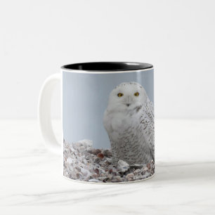 Schneeauschale auf MuschelnKaffeemaschine Tasse