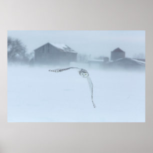 Schneeauschale im Winter Poster