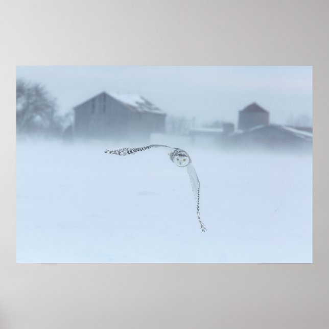 Schneeauschale im Winter Poster (Vorne)