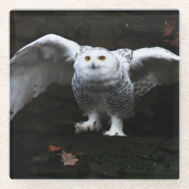 Schneeauschale mit offenem Flügel Küstenercnm Glasuntersetzer