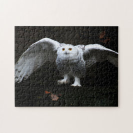Schneeauschale mit offenen Flügeln 11x14 252pc jpc Puzzle