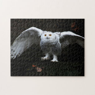 Schneeauschale mit offenen Flügeln 11x14 252pc jpc Puzzle