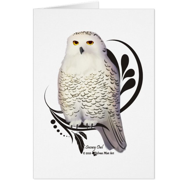Schneeauwl (Vorne)