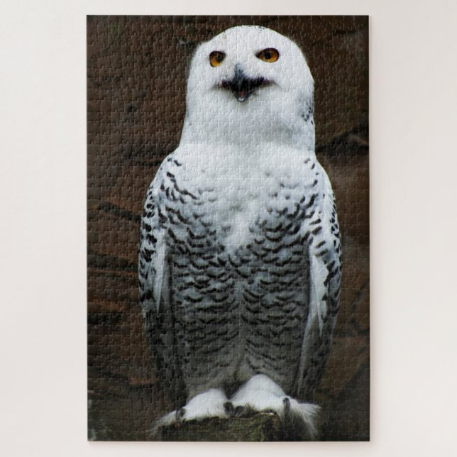 Schneeauwl 20x30 1014pc jpcna puzzle (Vertikal)