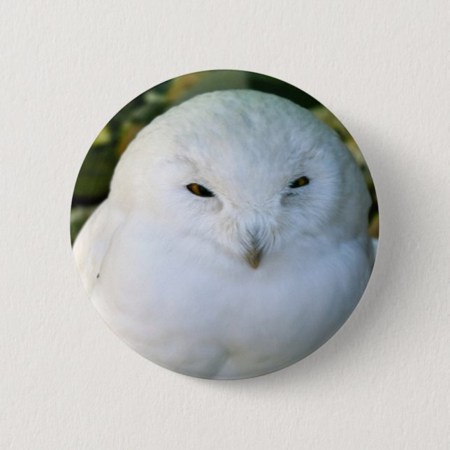 Schneeauwl Button (Vorderseite)