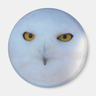 Schneeauwl Magnet