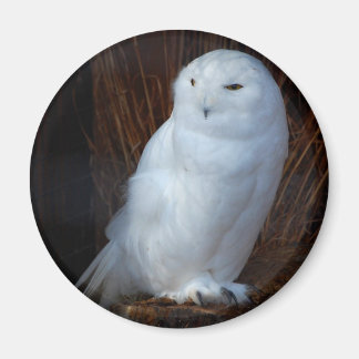 Schneeauwl Magnet