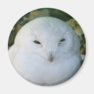 Schneeauwl Magnet