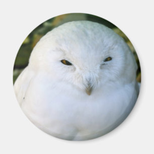 Schneeauwl Magnet