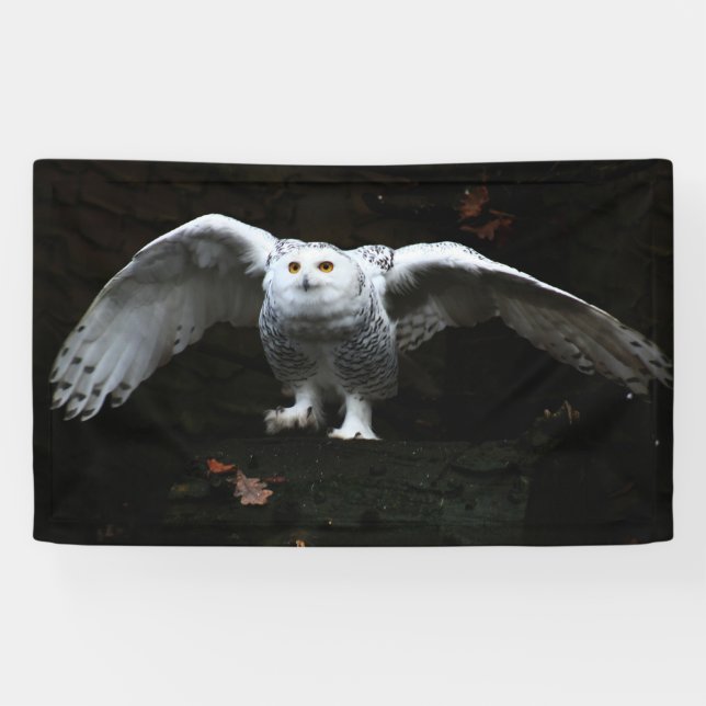 Schneeauwl mit offenem Flügel bnrcnm Banner (Horizontal)