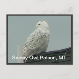 Schneeauwl Postkarte