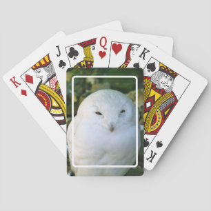 Schneeauwl Spielkarten