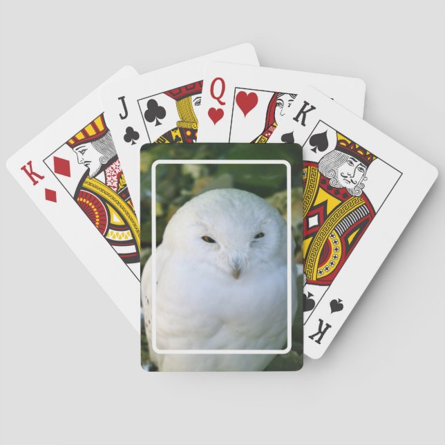 Schneeauwl Spielkarten (Rückseite)