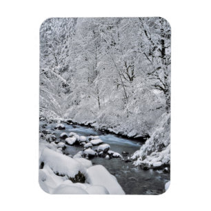 Schneebach Creek, Oregon, landschaftlich schön Magnet