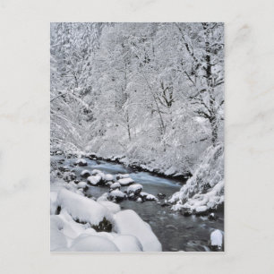 Schneebach Creek, Oregon, landschaftlich schön Postkarte