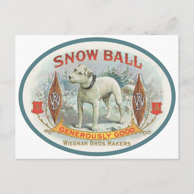 Schneeball der Hund Postkarte (Vorderseite)