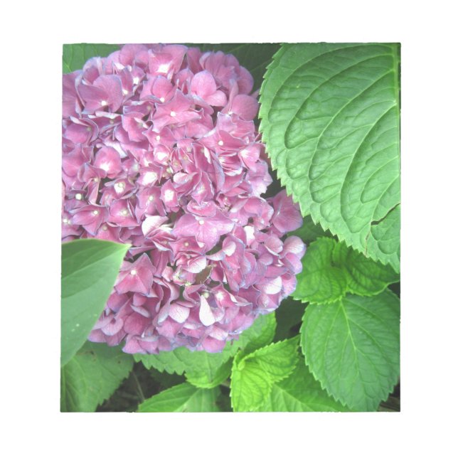 Schneeball Notizblock (Vorderseite)