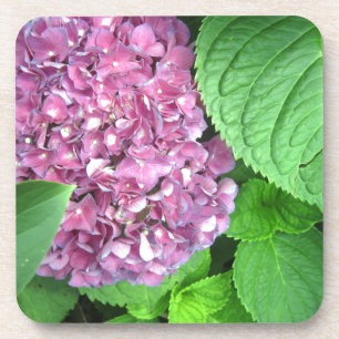 Schneeball Untersetzer