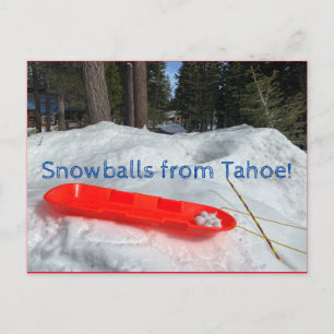 Schneebälle aus Tahoe! Postkarte