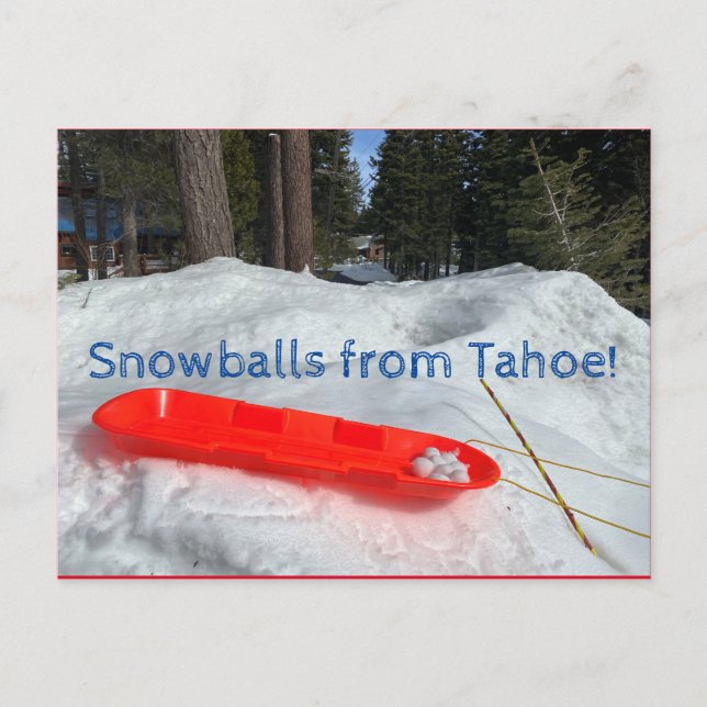 Schneebälle aus Tahoe! Postkarte (Vorderseite)