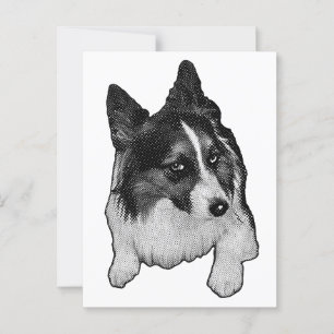 Schneeballebene Postkarte