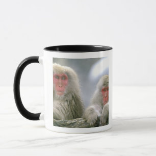 Schneeballkuchen, japanischer Macaque, Tasse
