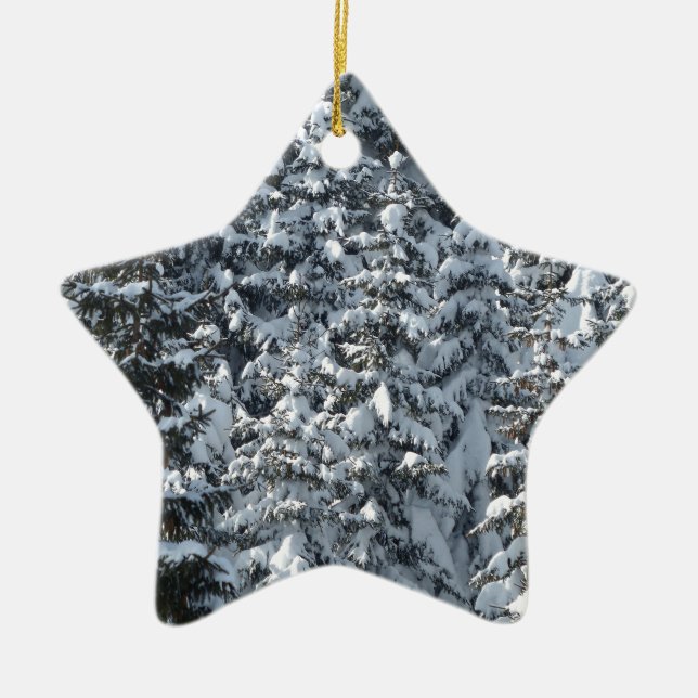 Schneeballstruktur Keramikornament (Vorne)