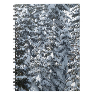 Schneeballstruktur Notizblock