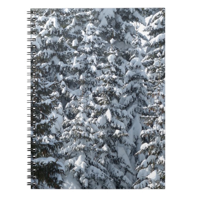 Schneeballstruktur Notizblock (Vorderseite)