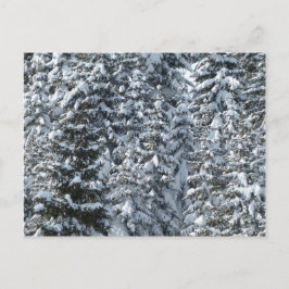 Schneeballstruktur Postkarte