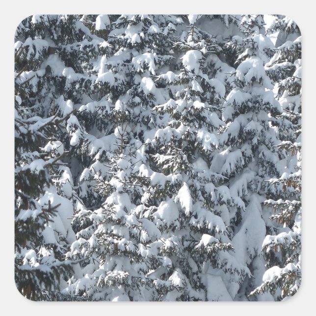 Schneeballstruktur Quadratischer Aufkleber (Vorderseite)