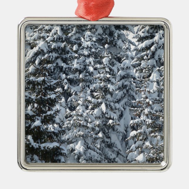 Schneeballstruktur Silbernes Ornament (Vorne)