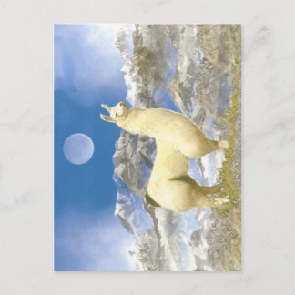Schneebär Postkarte
