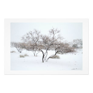 Schneebaum von Sidharta Pascual Fotodruck