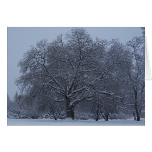 Schneebäume