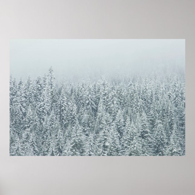 SCHNEEBÄUME POSTER (Vorne)