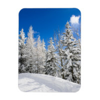 Schneebäume unter einem klaren, blauen vertikalen
