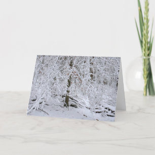 Schneebedachung aus Birken Karte