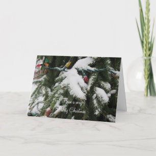 Schneebedeckte Äste und Lichter Feiertagskarte