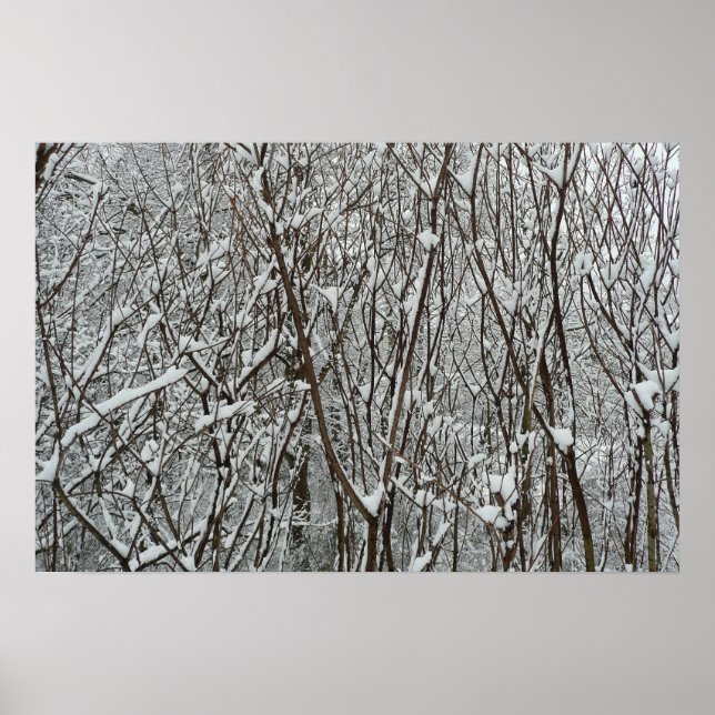 Schneebedeckte Äste Winter Poster (Vorne)