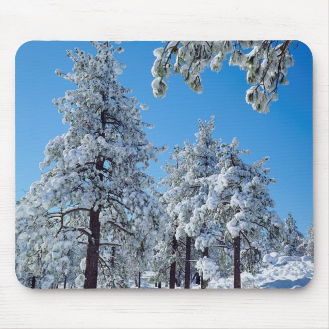 Schneebedeckte Bäume in den Bergen der Laguna Mousepad (Vorne)
