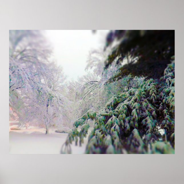 Schneebedeckte Bäume, Kiefer an der KC Street Poster (Vorne)