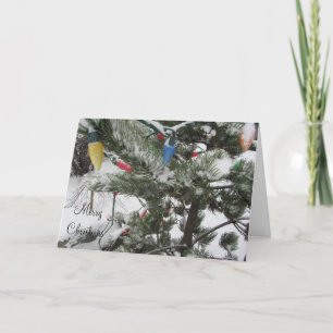Schneebedeckte Bäume mit Weihnachtsbeleuchtung Feiertagskarte