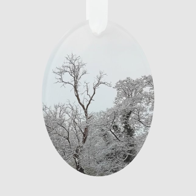 Schneebedeckte Bäume Ornament (Vorderseite)