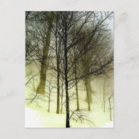 Schneebedeckte Bäume