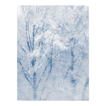 Schneebedeckte Bäume Winterlandschaft Foto