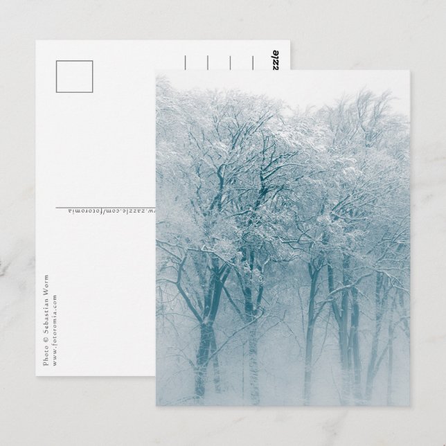 Schneebedeckte Bäume Winterlandschaft Foto Postkarte (Vorne/Hinten)